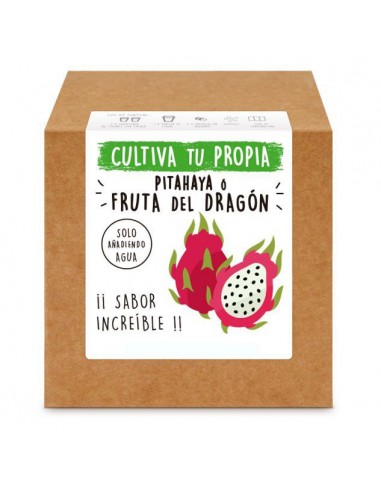 Kit PITAHAYA - FRUTA DEL DRAGÓN