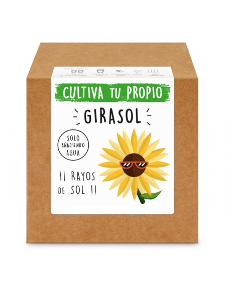 Kit Girasol