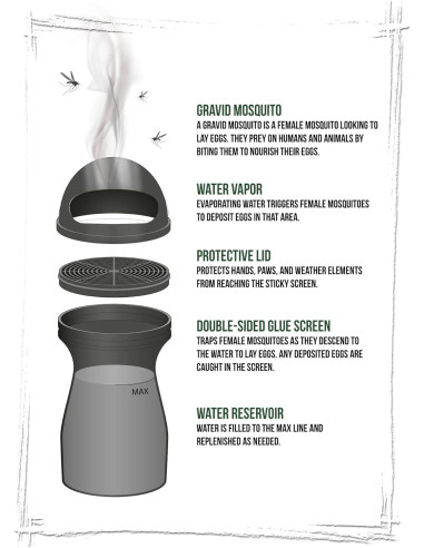 Trampa para Mosquitos Green Interiores