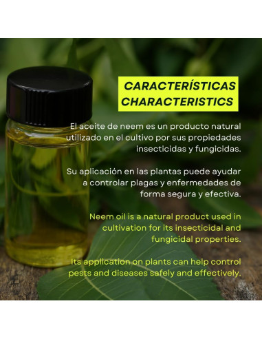 Aceite de Neem 30ml